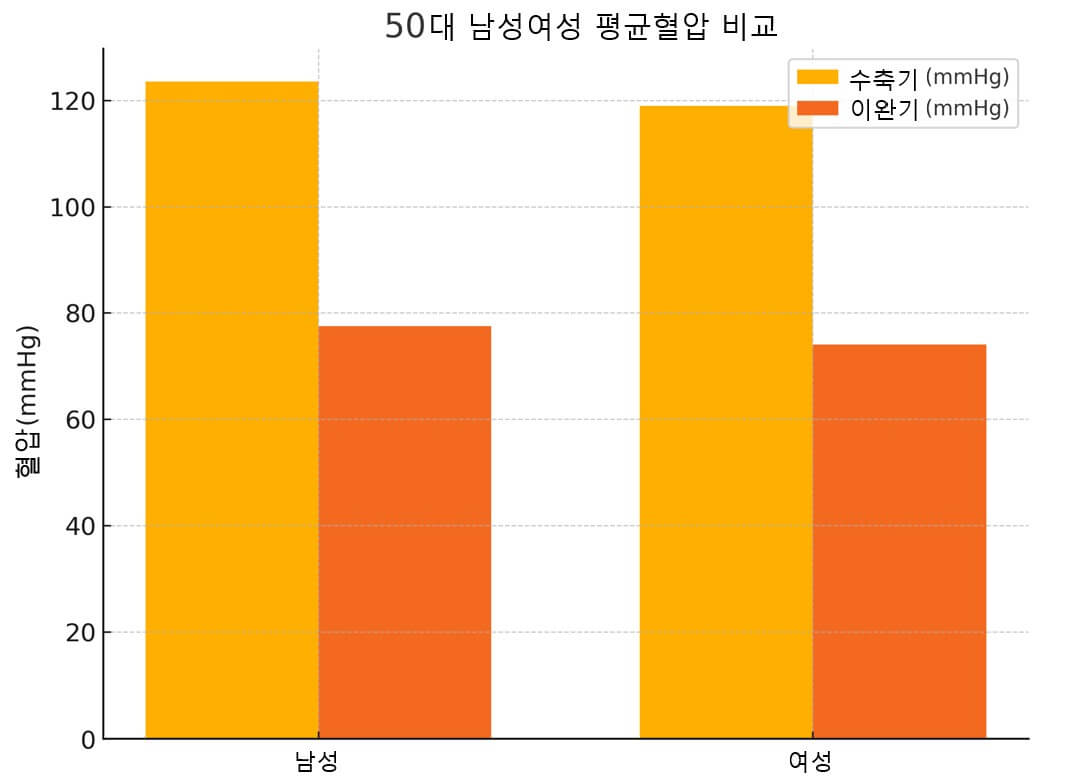 50대 평균 혈압 수치 (남성 vs 여성)