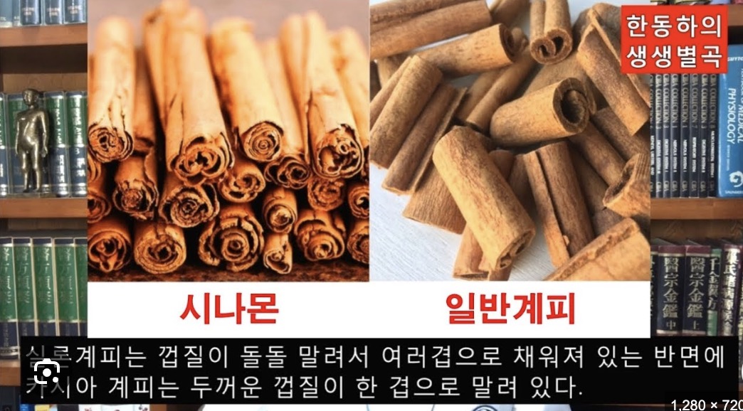 시나몬 가루와 계피 차이와 효능 먹는법