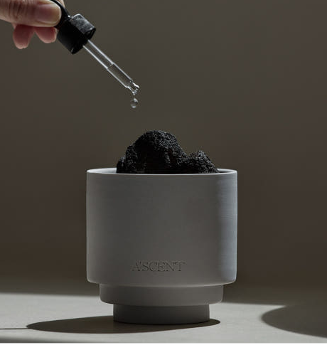 크리스마스 선물