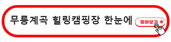 무릉계곡 힐링캠핑장