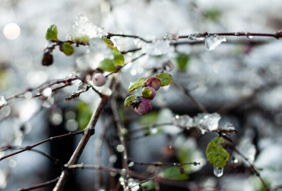 다섯째 주 (2월 25일 ~ 2월 29일)