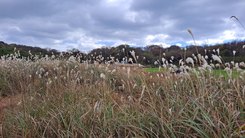 제주여행_에코랜드