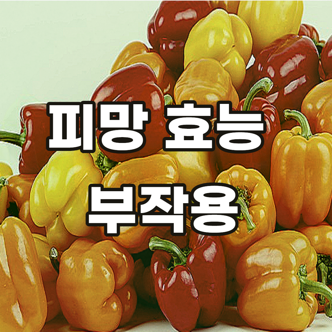 피망-효능-부작용-다이어트-보관-방법-법-먹는법-요리-혈관-혈관질환