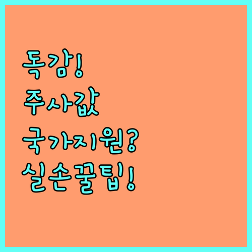 독감 예방접종 비용 비교 국가 지원 ..