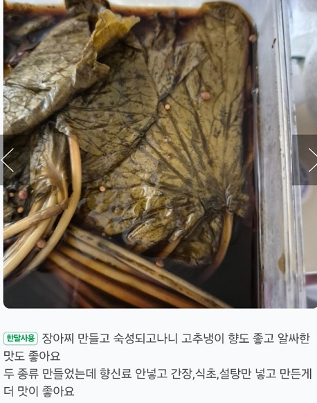 고추냉이잎-장아찌