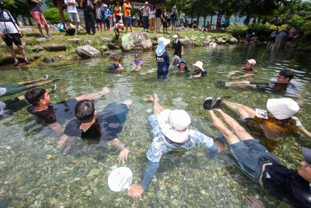 평창더위사냥축제