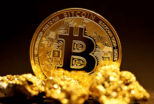 비트코인 0.5개 가치 분석! 암호화폐 장기 투자법