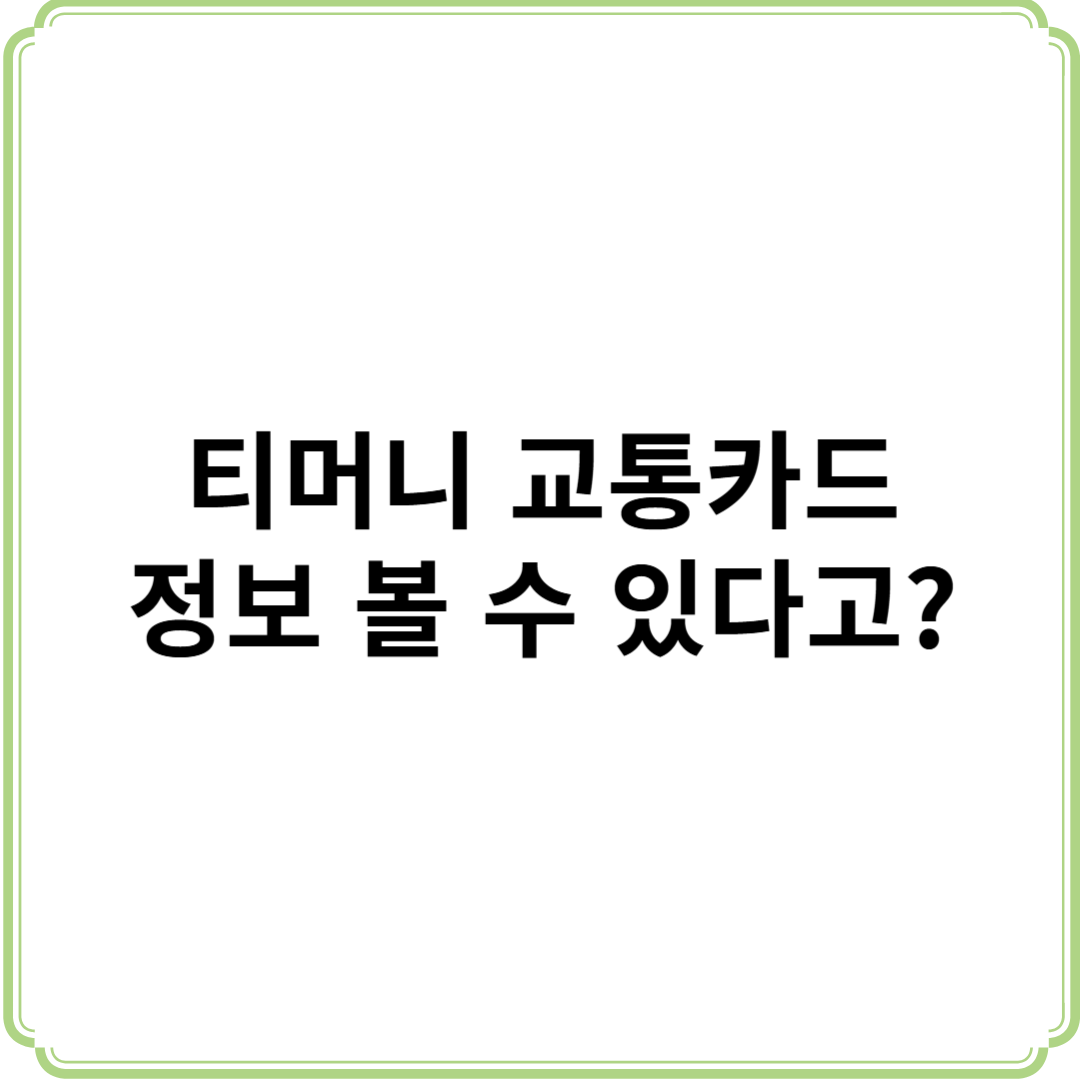 티머니 교통카드 정보 데이터