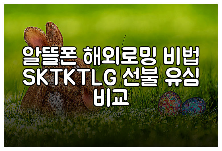 알뜰폰 해외로밍 비법 SKTKTLG 선불 유심 비교