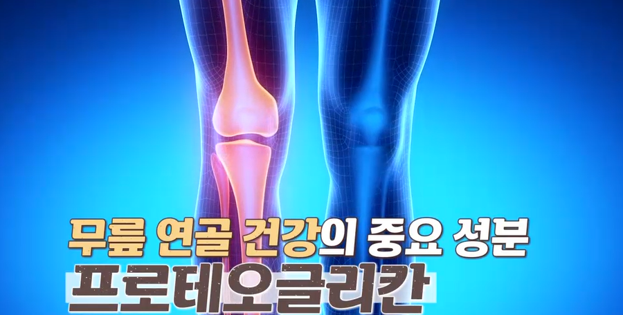 프로테오글리칸