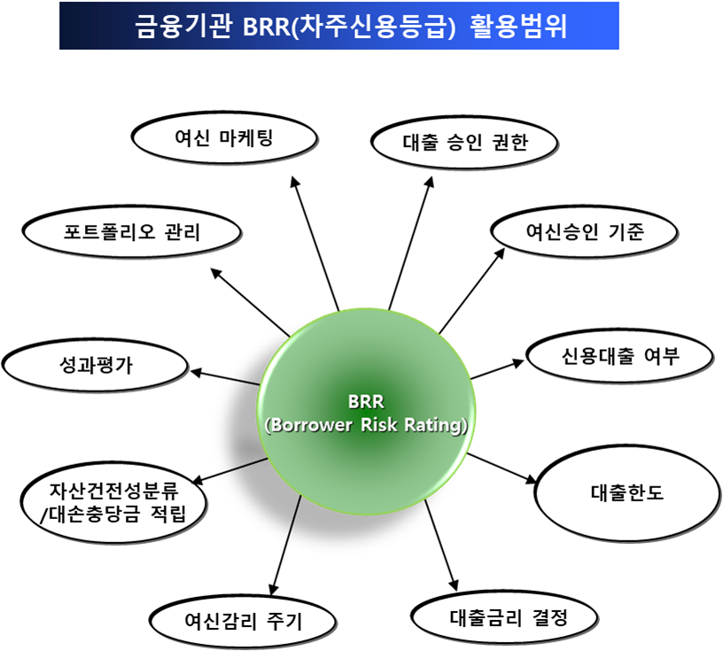 금융기관 BRR 활용범위 개요도