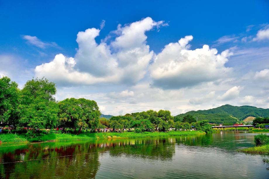 2025 공주 수국축제, 유구 색동 수국정원에서 즐기는 여름꽃 향연(6.27~29)