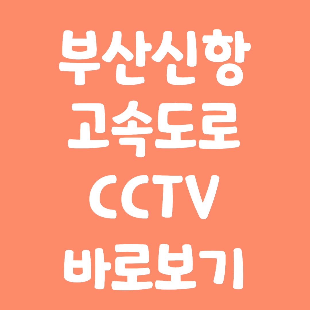실시간 부산신항 고속도로 CCTV 바로보기