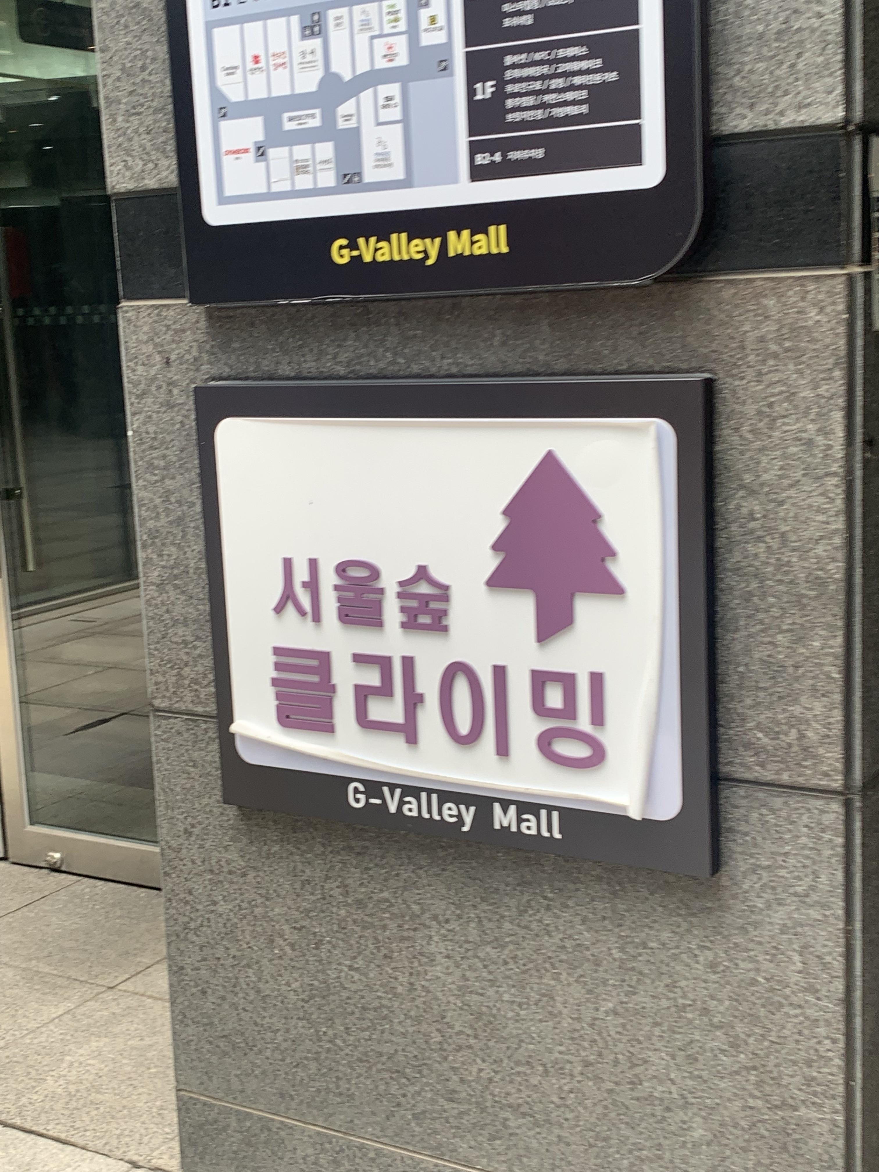 서울숲 클라이밍