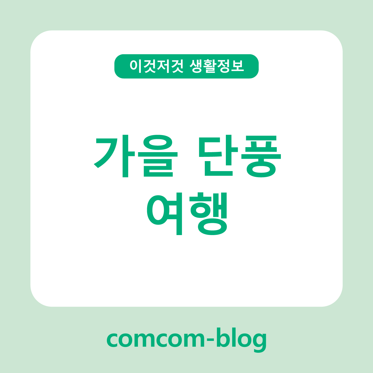 🍁 가을단풍여행, 색으로 물드는 계절의 힐링을 만나다