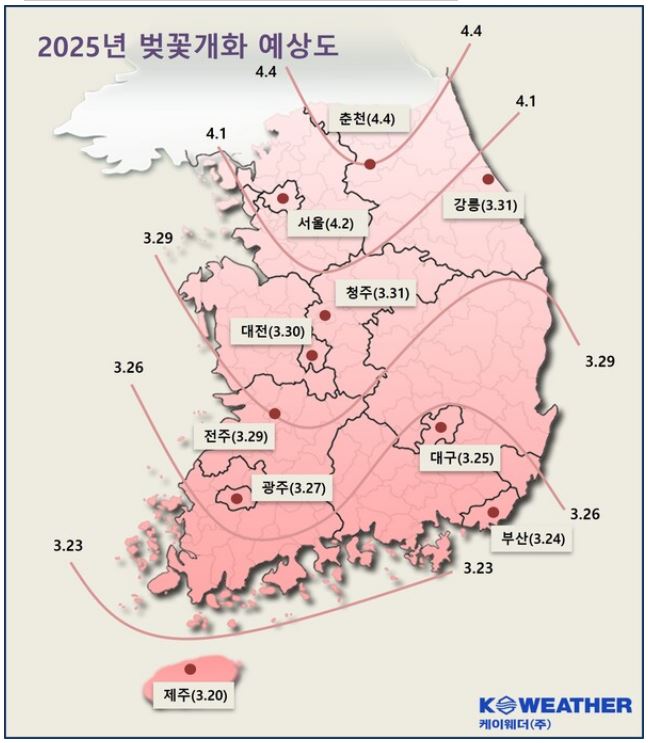 2025년 벚꽃개화 예상도
