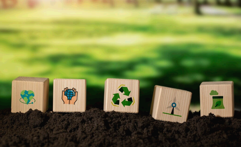 환경을 살리는 습관 : 쉽게 실천하는 친환경 라이프 가이드