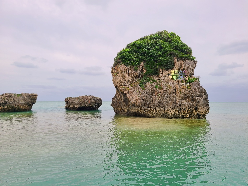 오키나와 남부 버스투어 솔직후기 가격 시간 오키나와 월드