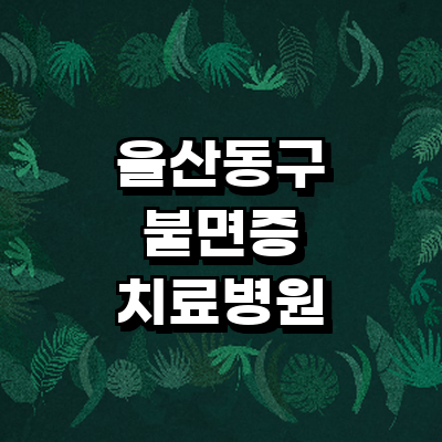 울산 동구 불면증