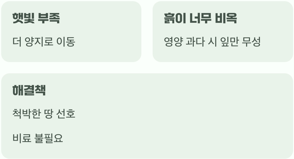 꽃이 피지 않는 이유