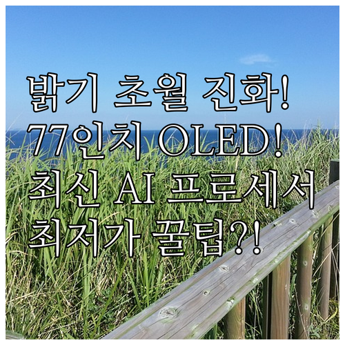 LG 77인치 OLED G5 C5 A..