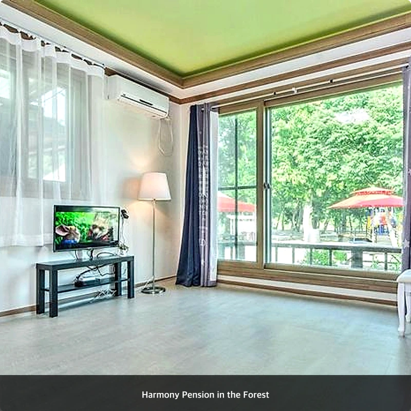 Harmony Pension in the Forest_1