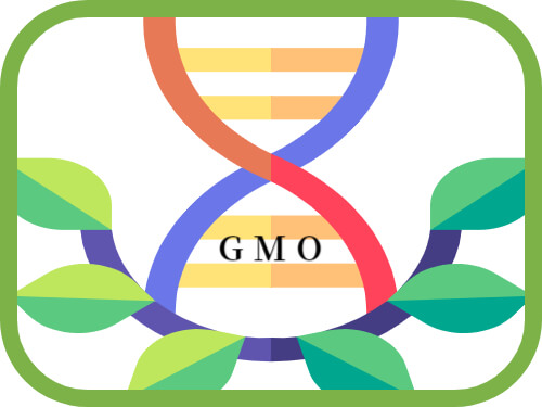 GMO
