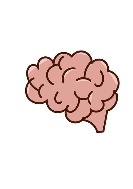 mbti 무료검사