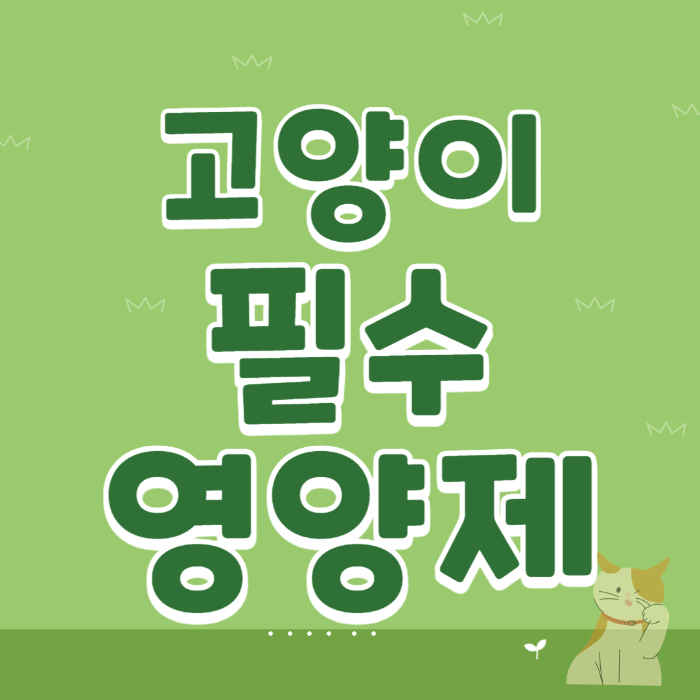 고양이필수영양제