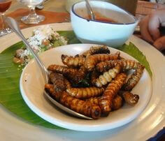 굼벵이를-접시에-담아놓고-포크로-먹는