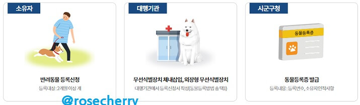 동물등록증발급사진
