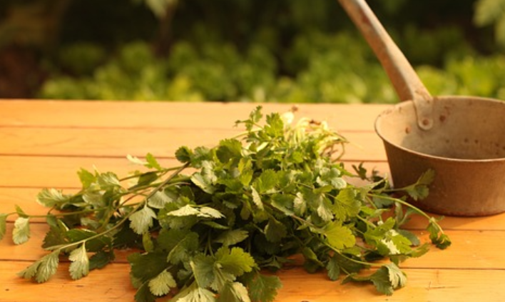 고대 아랍 상인들이 전파한 희귀 약초 무역의 비밀