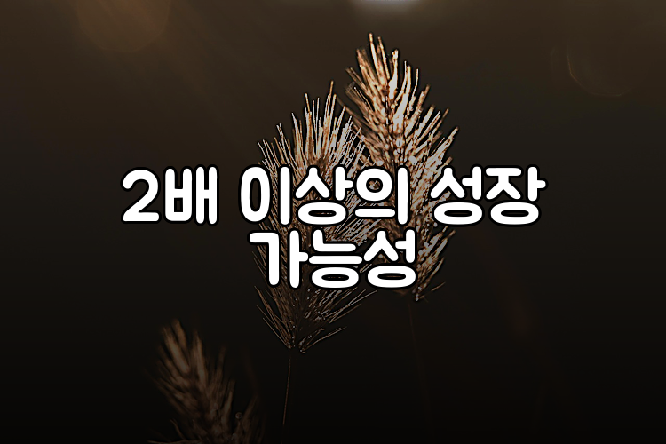 2배 이상의 성장 가능성