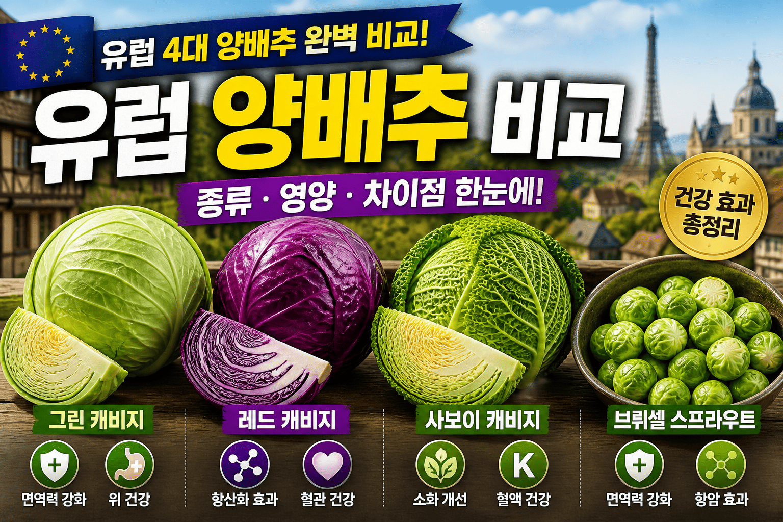 유럽 양배추 비교 (종류, 영양, 차이점)