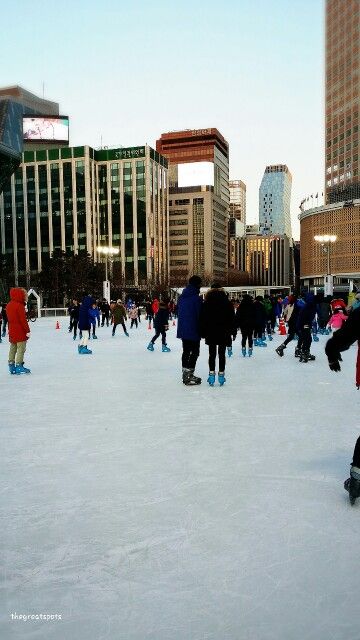 서울광장 스케이트장