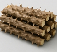 엄나무 효능 부작용