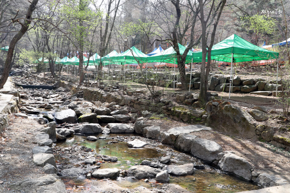 과천 가볼만한곳 베스트 10