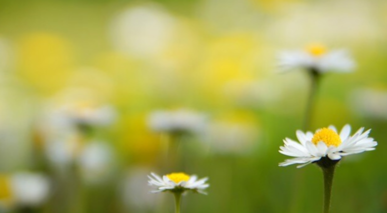 자연과의 교감이 신체와 정신에 미치는 효과