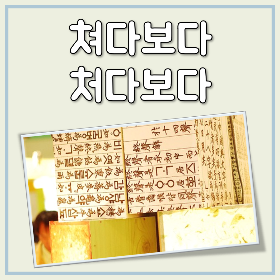 쳐다보다 처다보다 대표 이미지