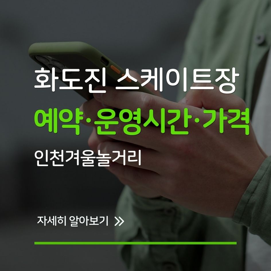 인천 화도진 스케이트장 겨울 전경