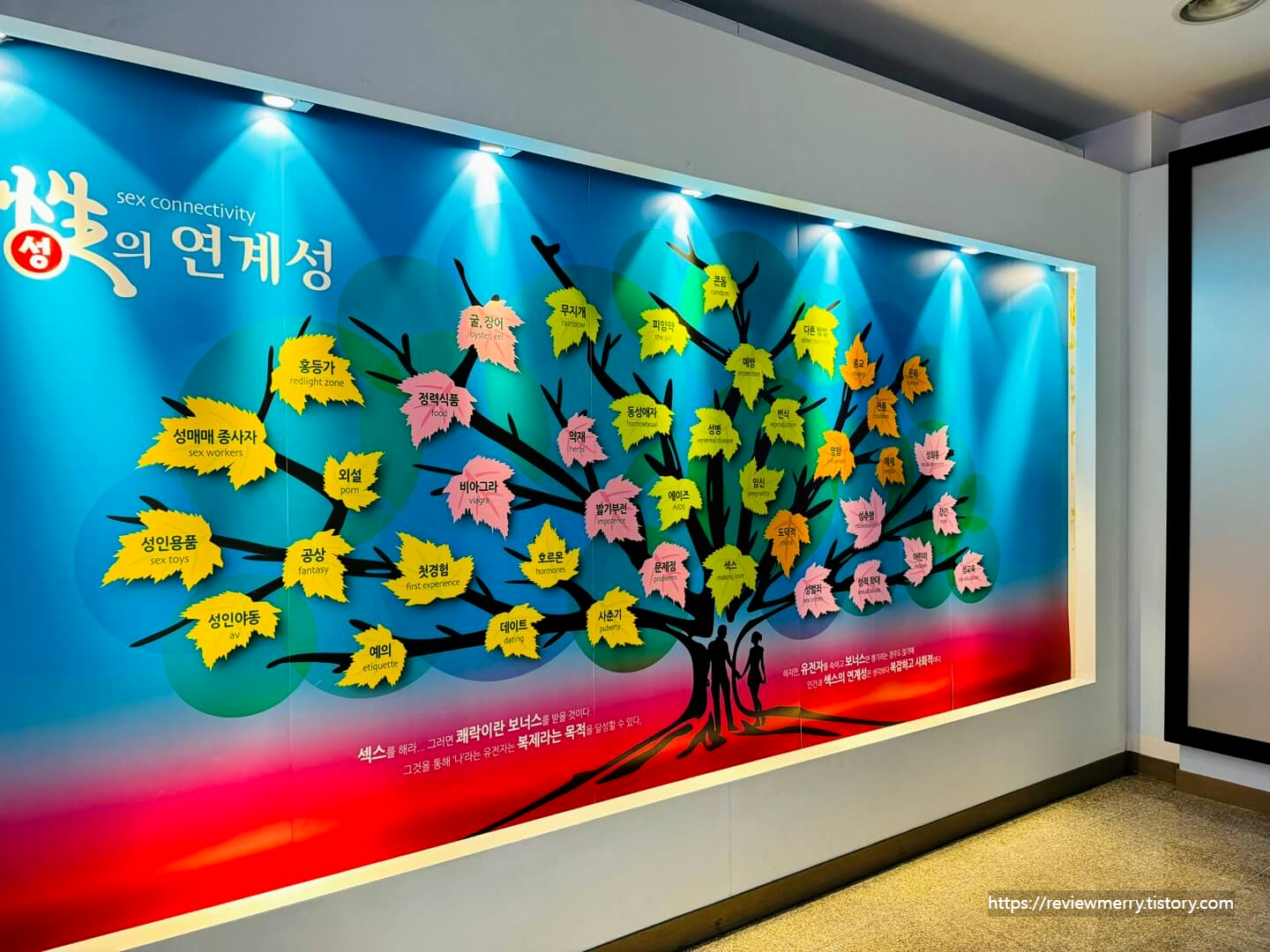 성 연계성