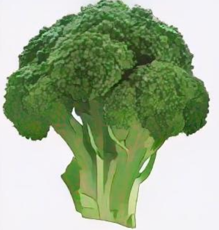 브로콜리 그림