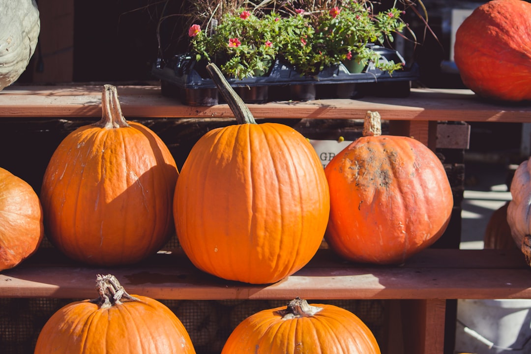 Pumpkin