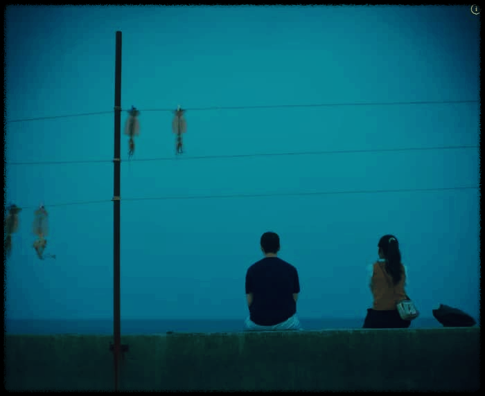 모래에도 꽃이 핀다