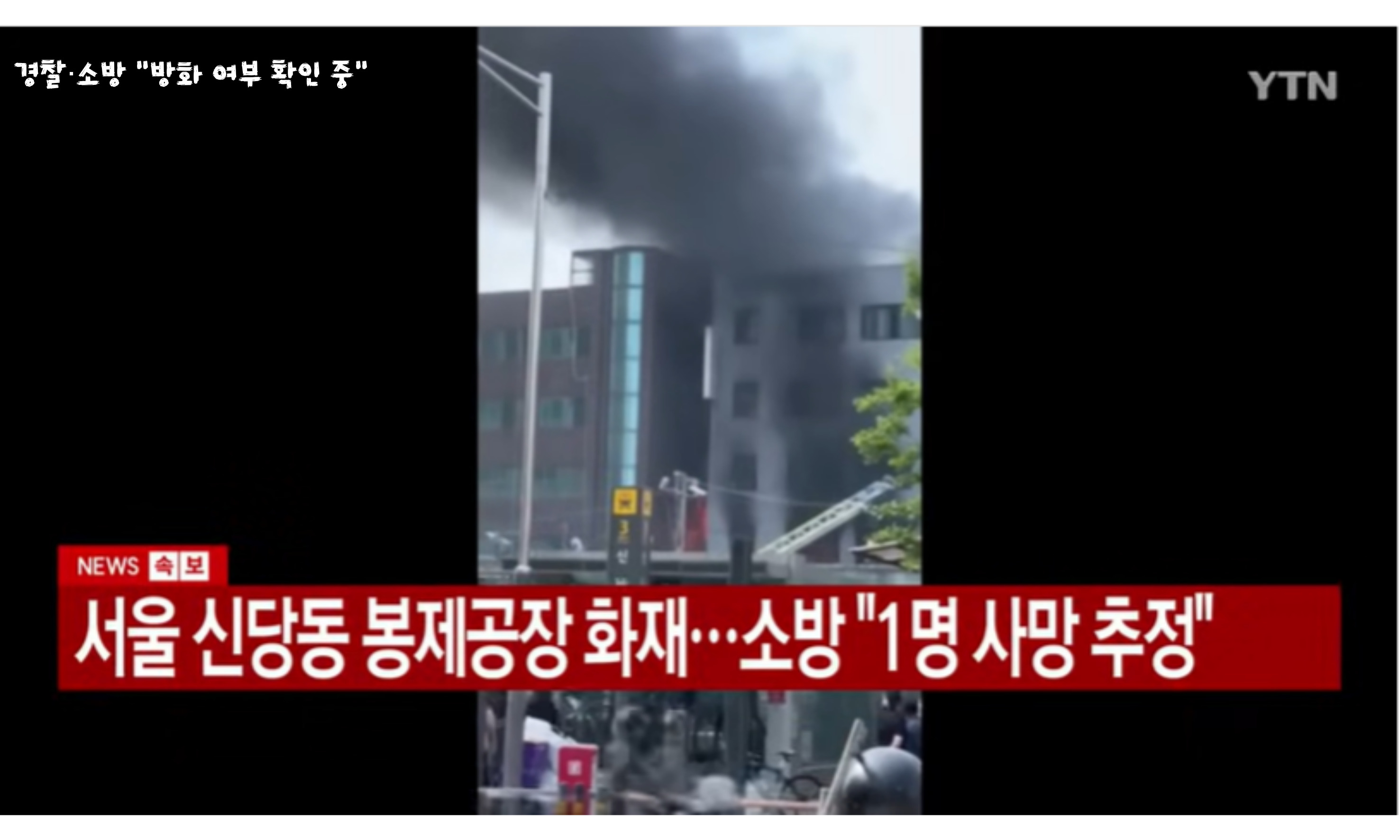 YTN 방송 장면
