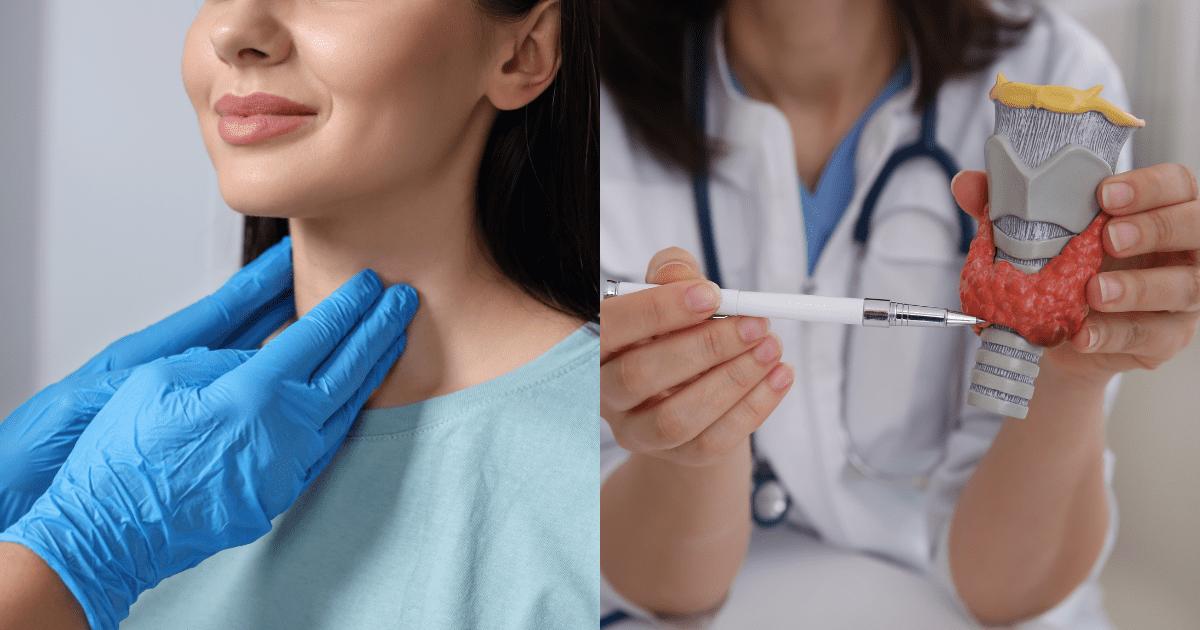 갑상선을 잡은 손과 갑상선 부위를 설명하는 여성 의사