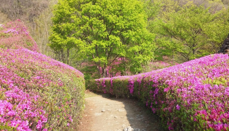 율봄식물원