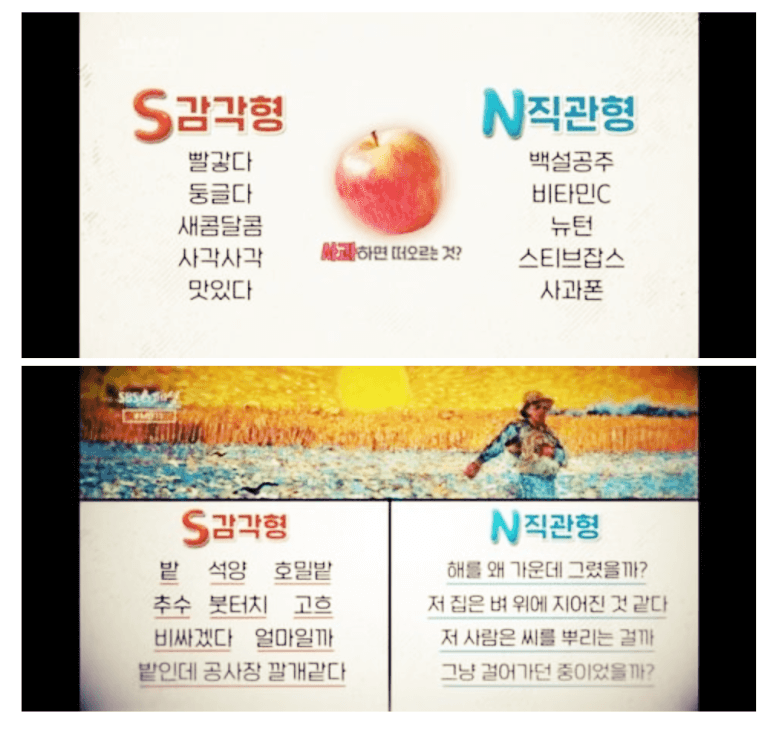 N-S-짤-테스트-결과