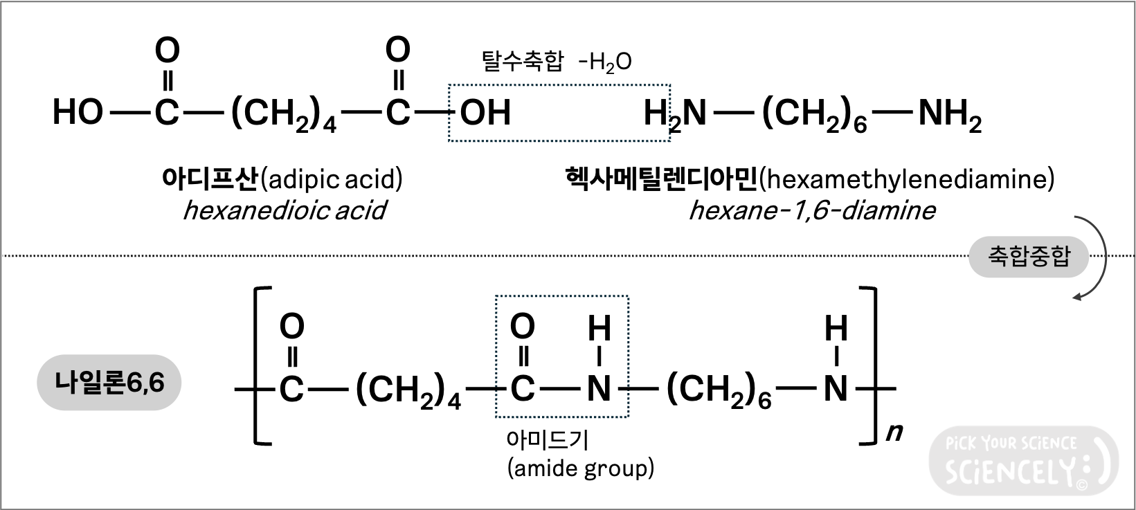 아디프산, 헥사메틸렌디아민, 물, 탈수축합, 축합중합, 나일론66 생성 제조 만드는법 화학구조