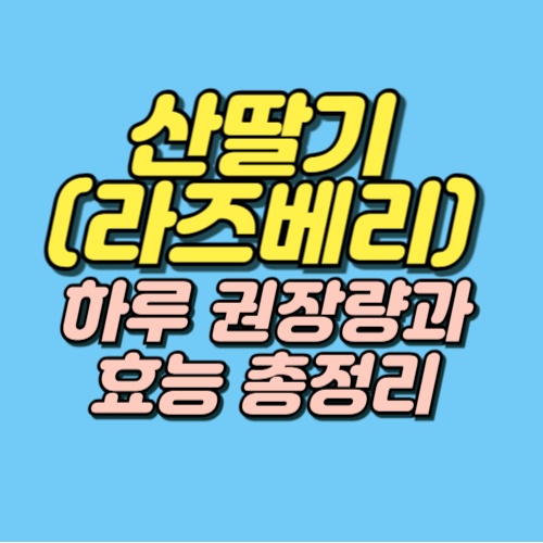 산딸기 효능 부작용